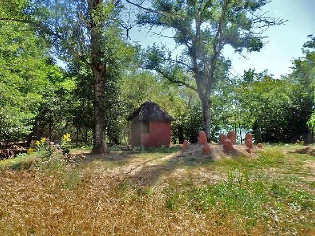 101PARC AUX OISEAUX DANS L AIN 2016 1_000047.jpg